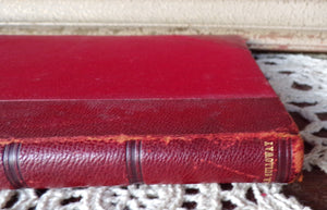 Bulletin Of  The Pan American Union February 1911 John Barrett