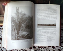Load image into Gallery viewer, Bulletin Of  The Pan American Union February 1911 John Barrett