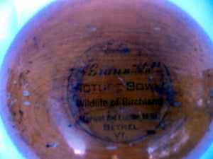 Wildlife  of Birchland Duck Wood Picture Bowl Folk Art Granville Vermont