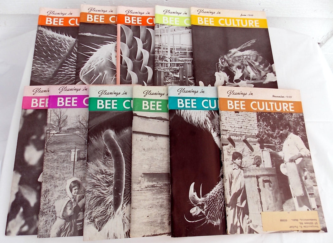 11 Vintage  Gleanings in Bee Culture 1960's 70's