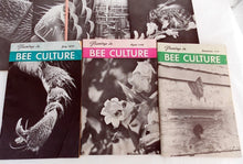 Load image into Gallery viewer, 11 Vintage  Gleanings in Bee Culture 1960&#39;s 70&#39;s