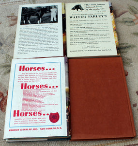 1949 The Black Stallion & Satan Plus 3 More Vintage Horse Books