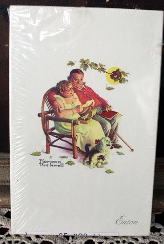 NOS Norman Rockwell Quiet Moments Stationary Eaton W Kaleidoscope Ballpoint Pen